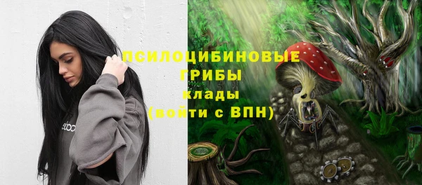 ALPHA-PVP Алексеевка