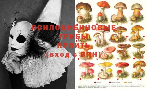 дмт Остров