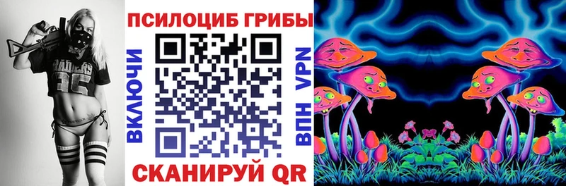 Псилоцибиновые грибы ЛСД  Каргат 